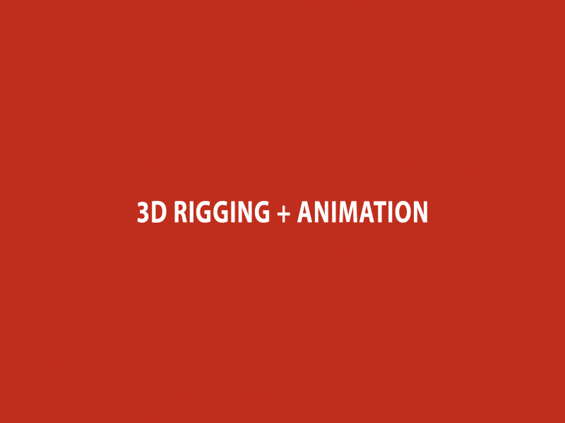 3D Rigging + Animation