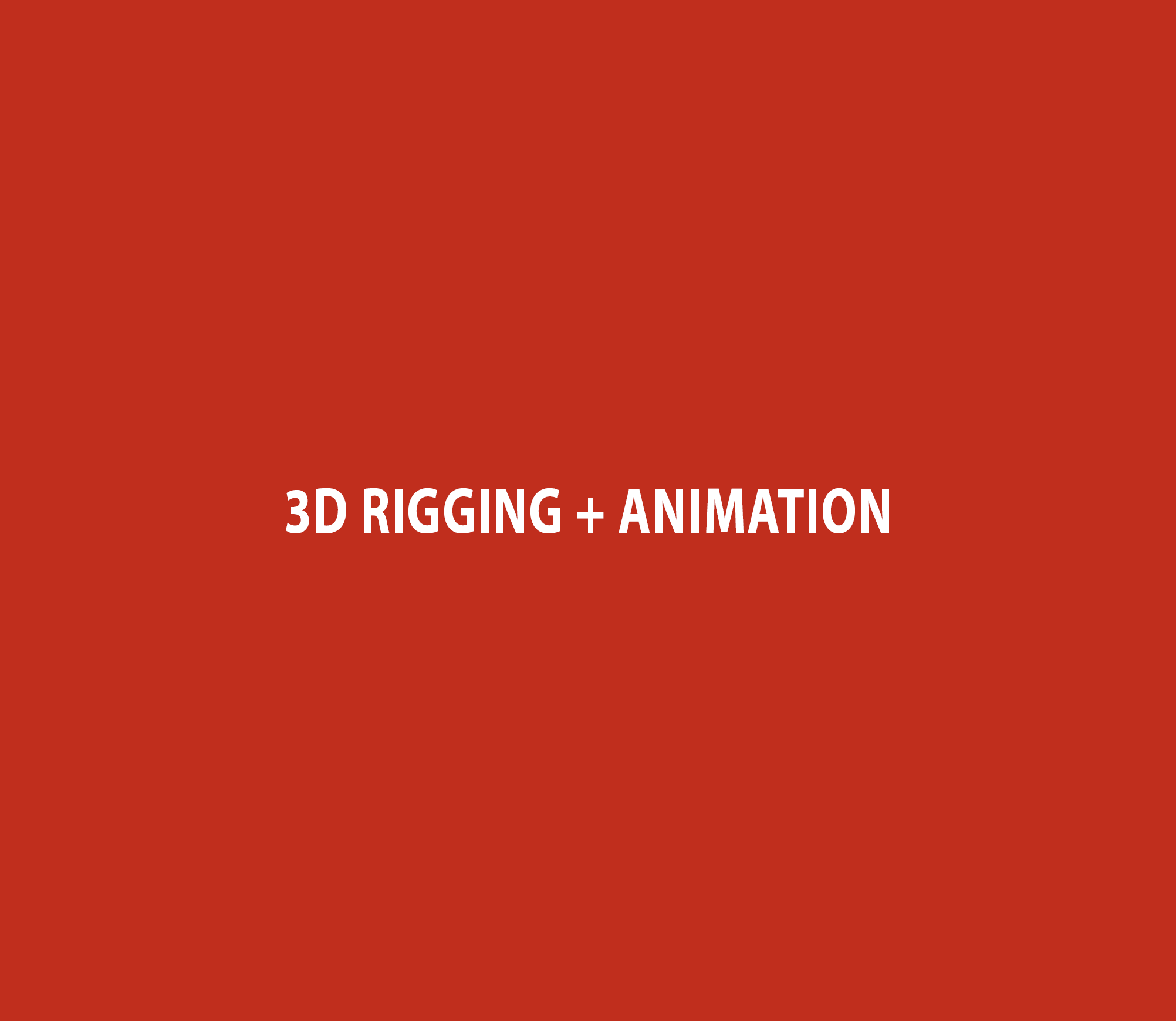 3D Rigging + Animation